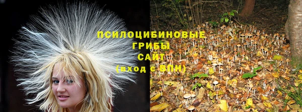 кокаин Алзамай