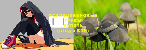молекула духа Армянск