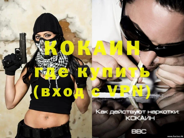кокс Арсеньев