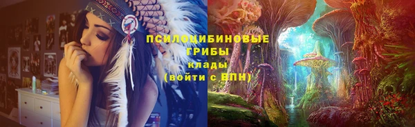 молекула духа Армянск
