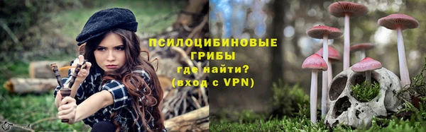 кокс Арсеньев