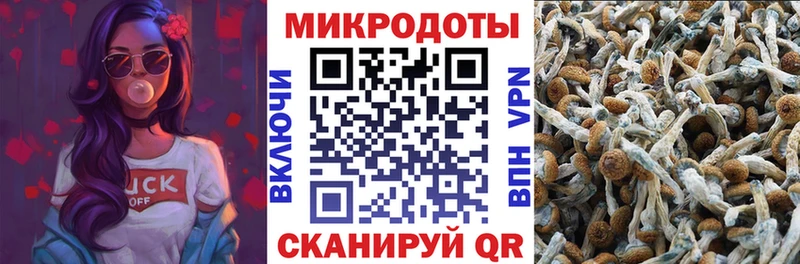 что такое Дорогобуж Галлюциногенные грибы GOLDEN TEACHER