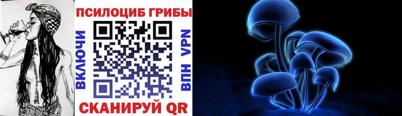 Псилоцибиновые грибы Psilocybine cubensis Дорогобуж